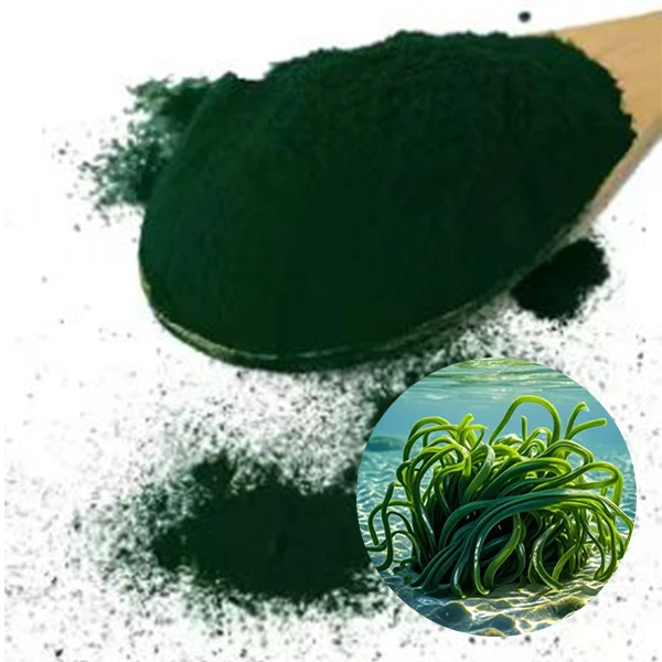 Aphanizomenon Flos Aquae Powder